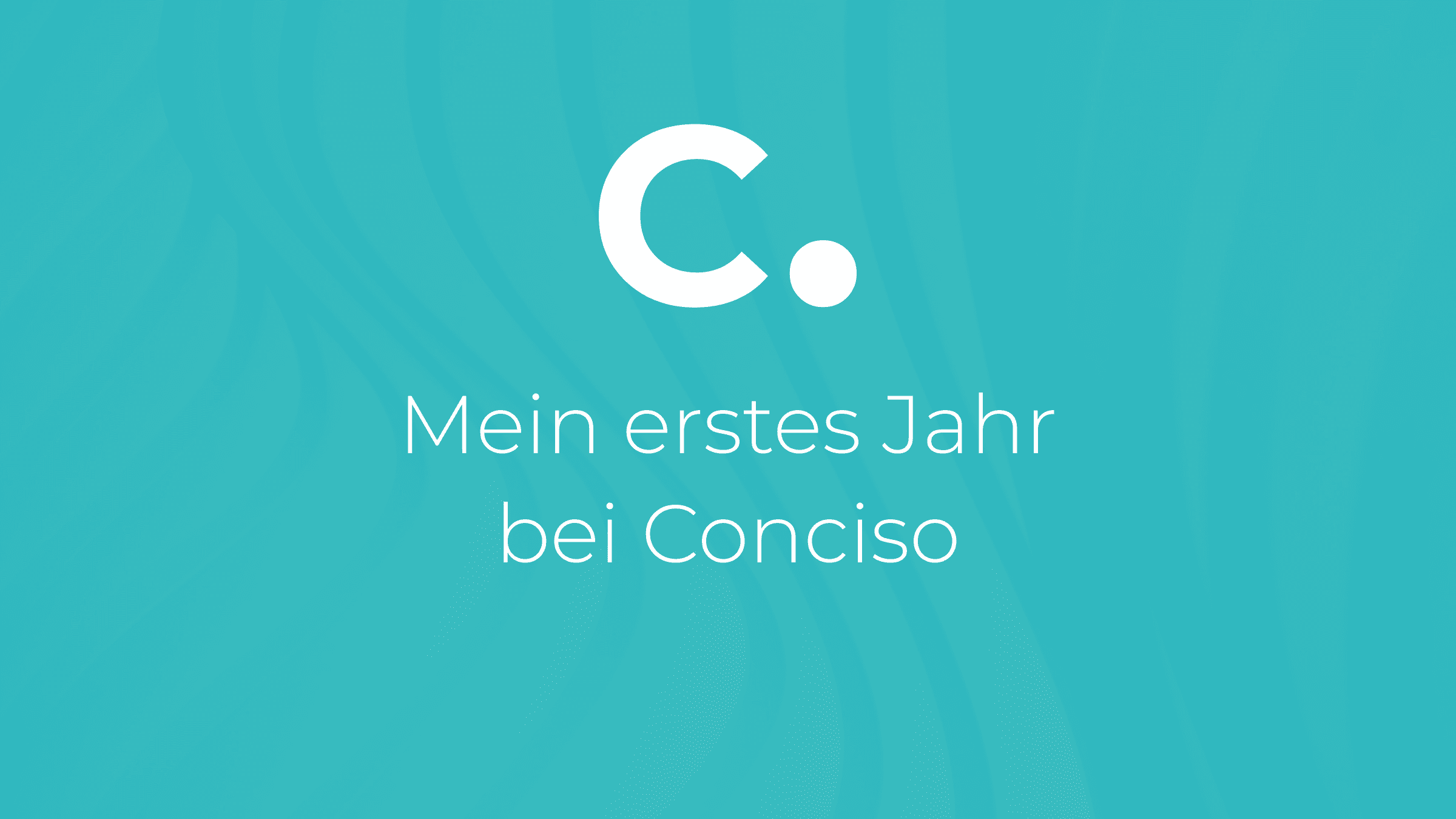Mein erstes Jahr bei Conciso
