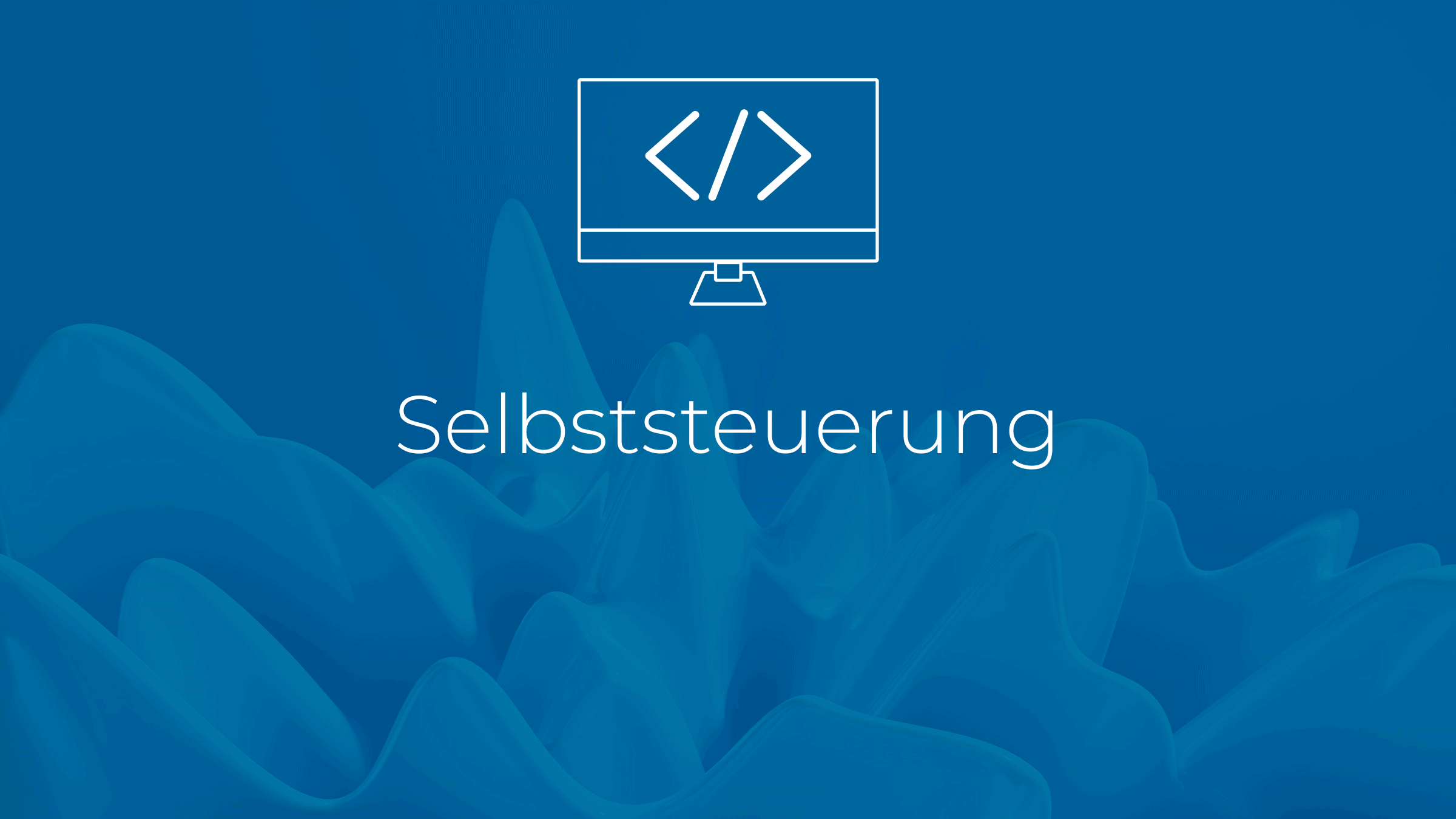 Selbststeuerung