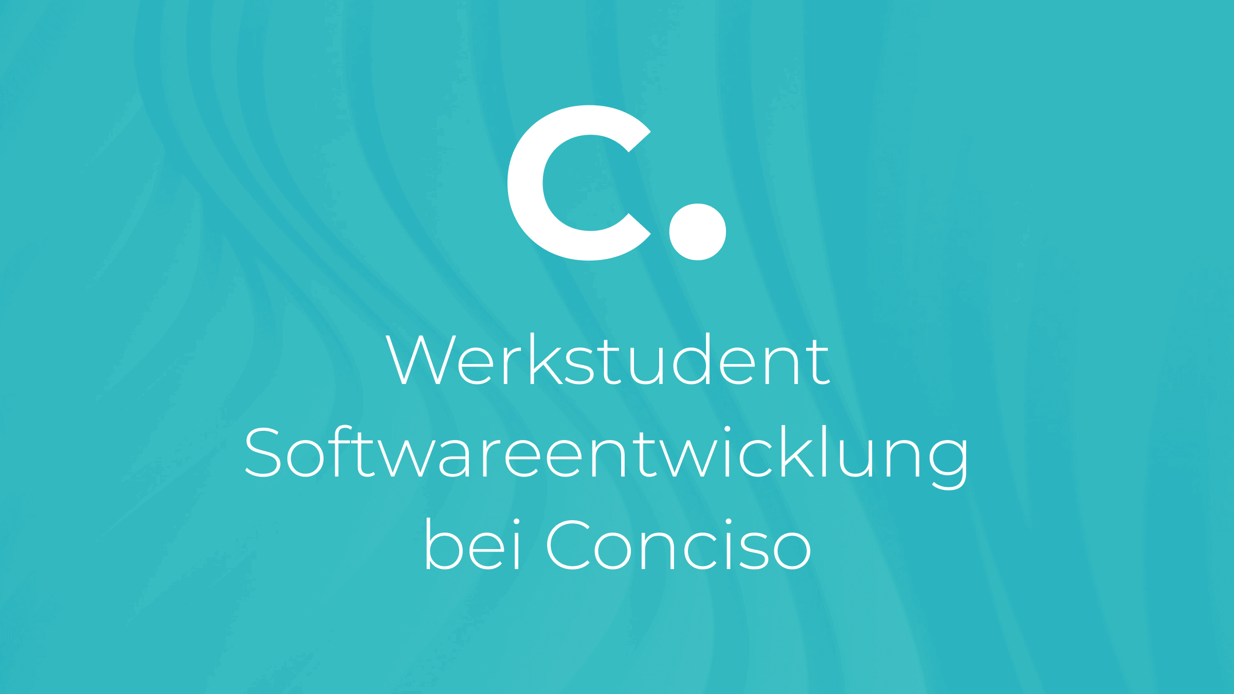 Werkstudent Softwareentwicklung bei Conciso