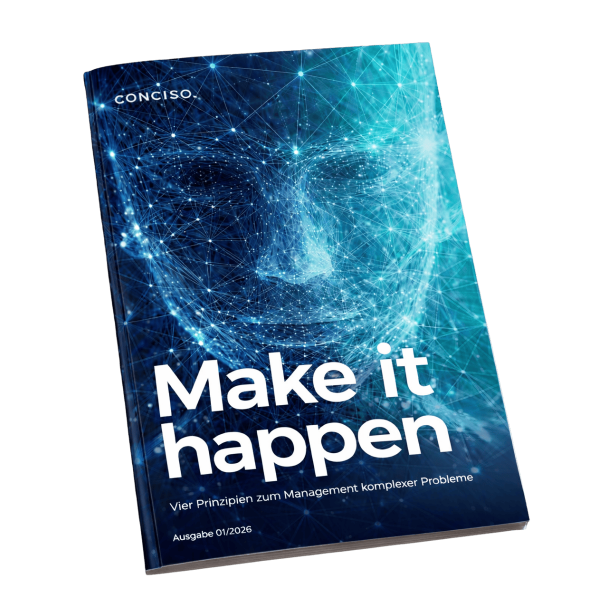 Whitepaper: 4 Prinzipien Management komplexer Probleme