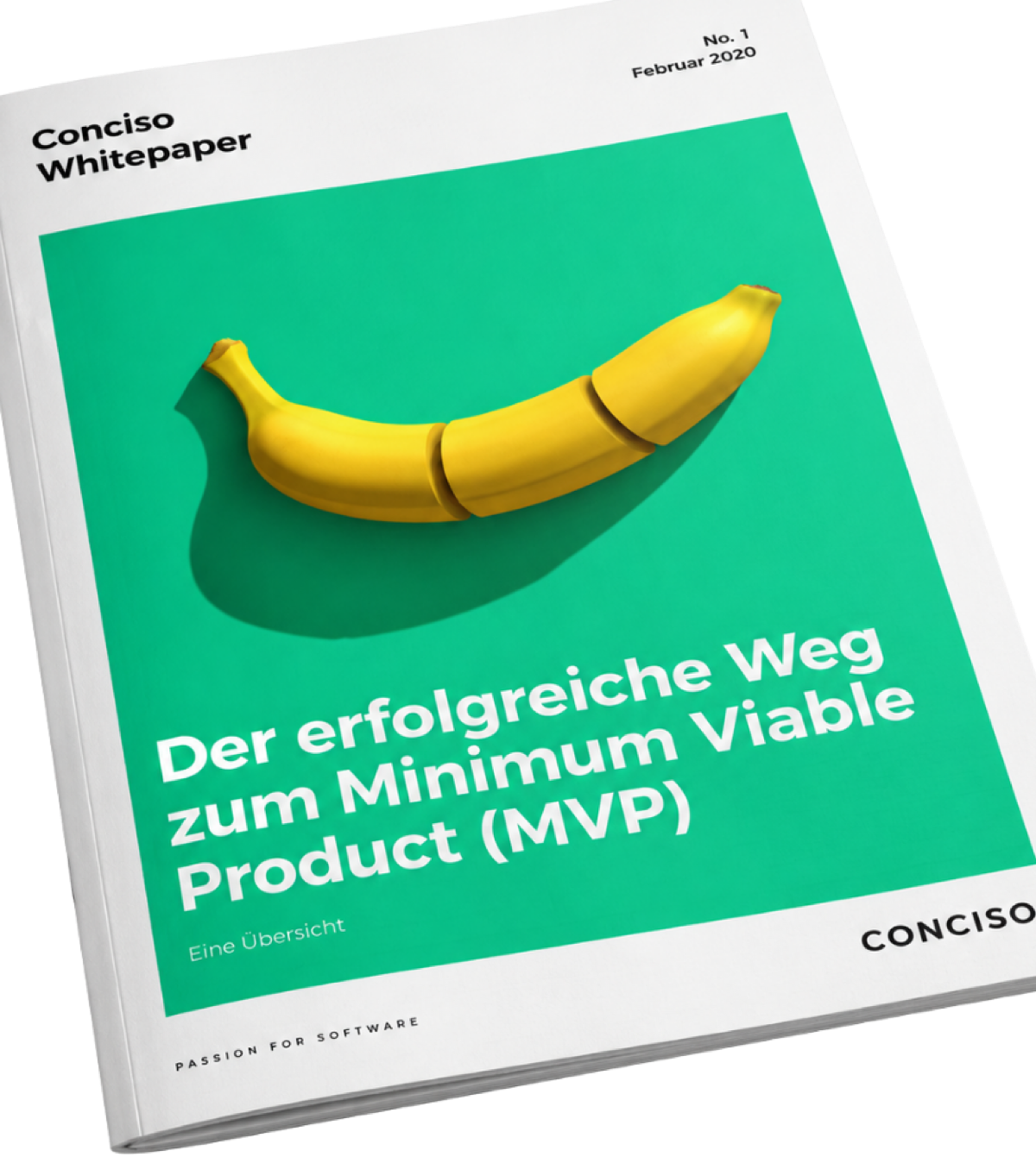 Whitepaper: Der erfolgreiche Weg zum Minimum Viable Product (MVP)